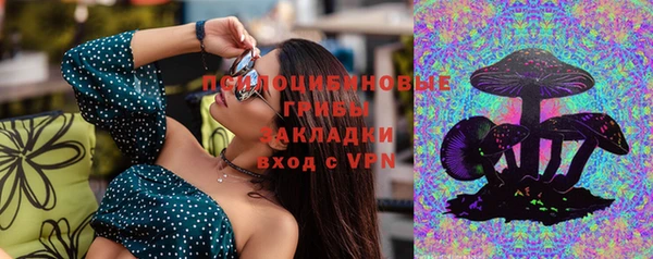 ПСИЛОЦИБИНОВЫЕ ГРИБЫ Беломорск