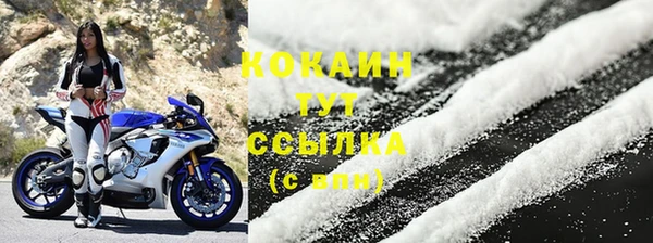 амф Богородицк