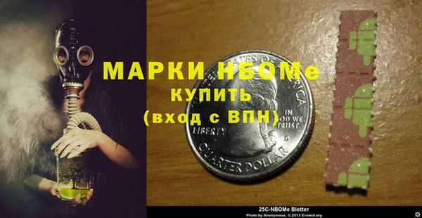 ECSTASY Богданович