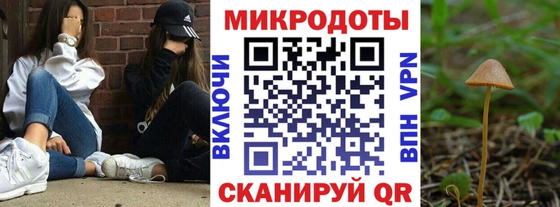 Псилоцибиновые грибы MAGIC MUSHROOMS  даркнет сайт  Томмот 